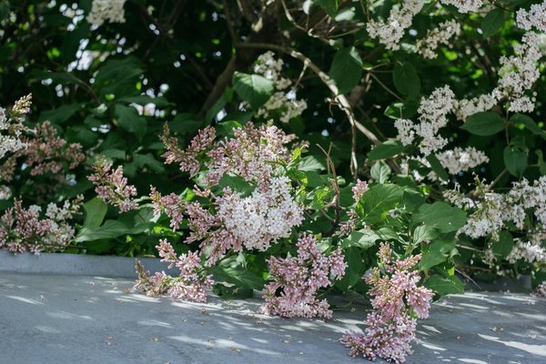 Transformez vos espaces de travail avec des cloisons mobiles à toulon