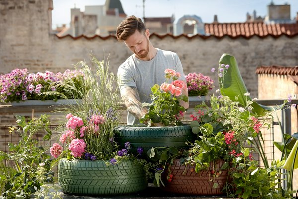 Quels légumes conviennent le mieux pour la culture en hydroponie sur un toit plat?